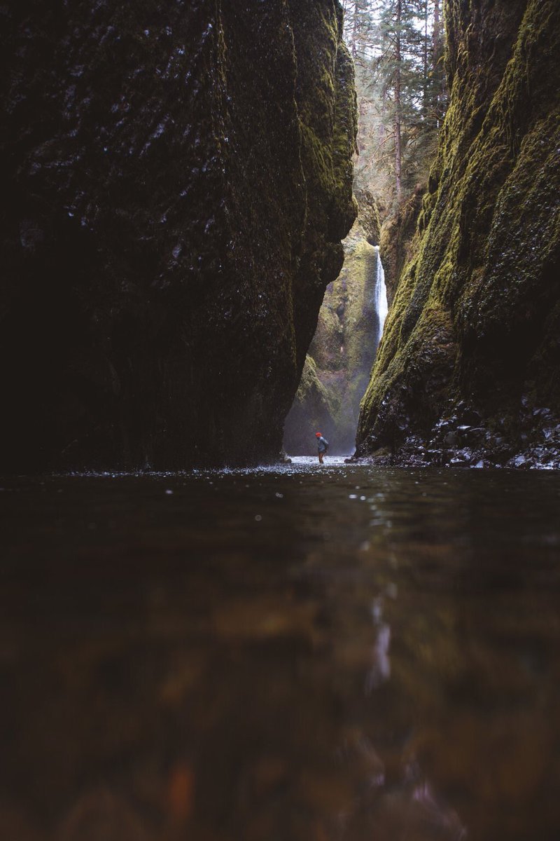 visualgasm's tweet photo. Oregon submission https://t.co/o4fEfkt4Il