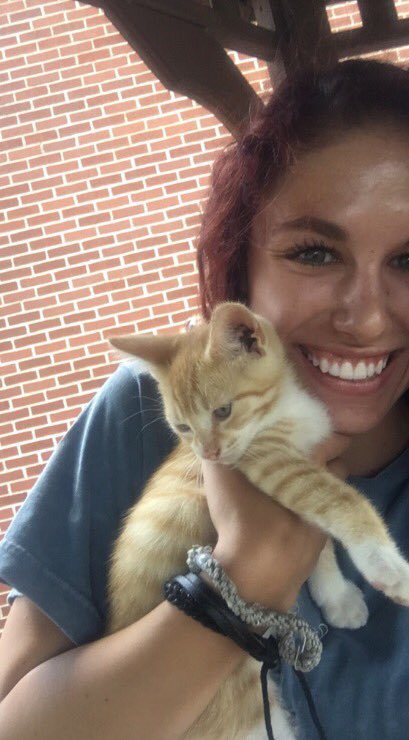 KoraKostiew's tweet photo. A Pennsylvania farm with kittens is my Disneyland https://t.co/umMNSMGNr8