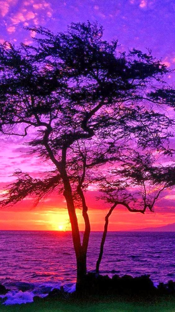KLovesNature tweet picture