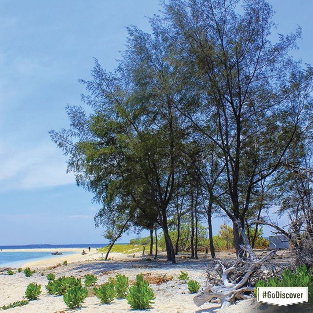 Bingung weekend ini mau kemana? #GoDiscover Pulau Kodingareng Keke di Makassar yuk!

Photo by <a href="/ewink_ali/">erwin ali </a>