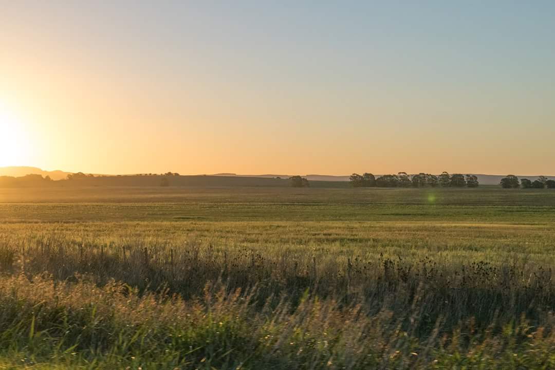 KarinHohn's tweet photo. Atardece en la ruta entre Tandil y Laguna de Epecuén, Marzo 2017 https://t.co/99W298SLVb