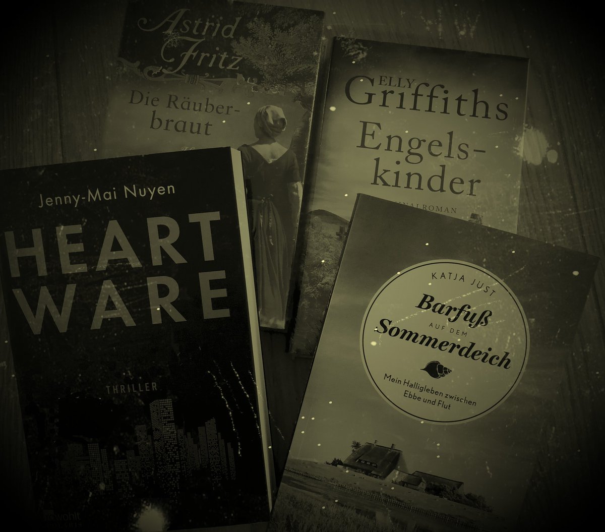 michaellaeuft's tweet photo. Wieder viel zu #lesen. #Heartware, #Räuberbraut, #Engelskinder, #BarfussaufdemSommerdeich @rowohlt @EdelBooks #schoenesWochenende. https://t.co/egkLrNKtAe