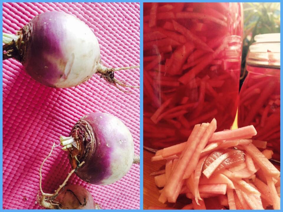 _mocky_d's tweet photo. Mocky-d been busy growin #turnips & turniping them into #pinkpickles especially for our #vegandoner ... @SneintonMarket block party today! X https://t.co/eT42ZEs18H