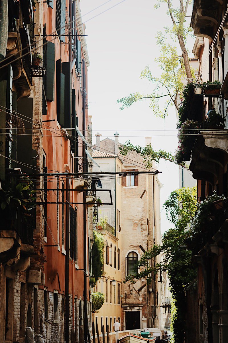 AlexandraNibley's tweet photo. venice https://t.co/9RlDwnEDVC