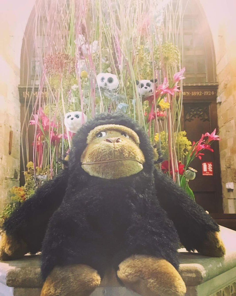 Gus enjoying morning rehearsals with the Alegría trio, Christopher White and Melanie Reinhard ready for #musicfest morning concert.