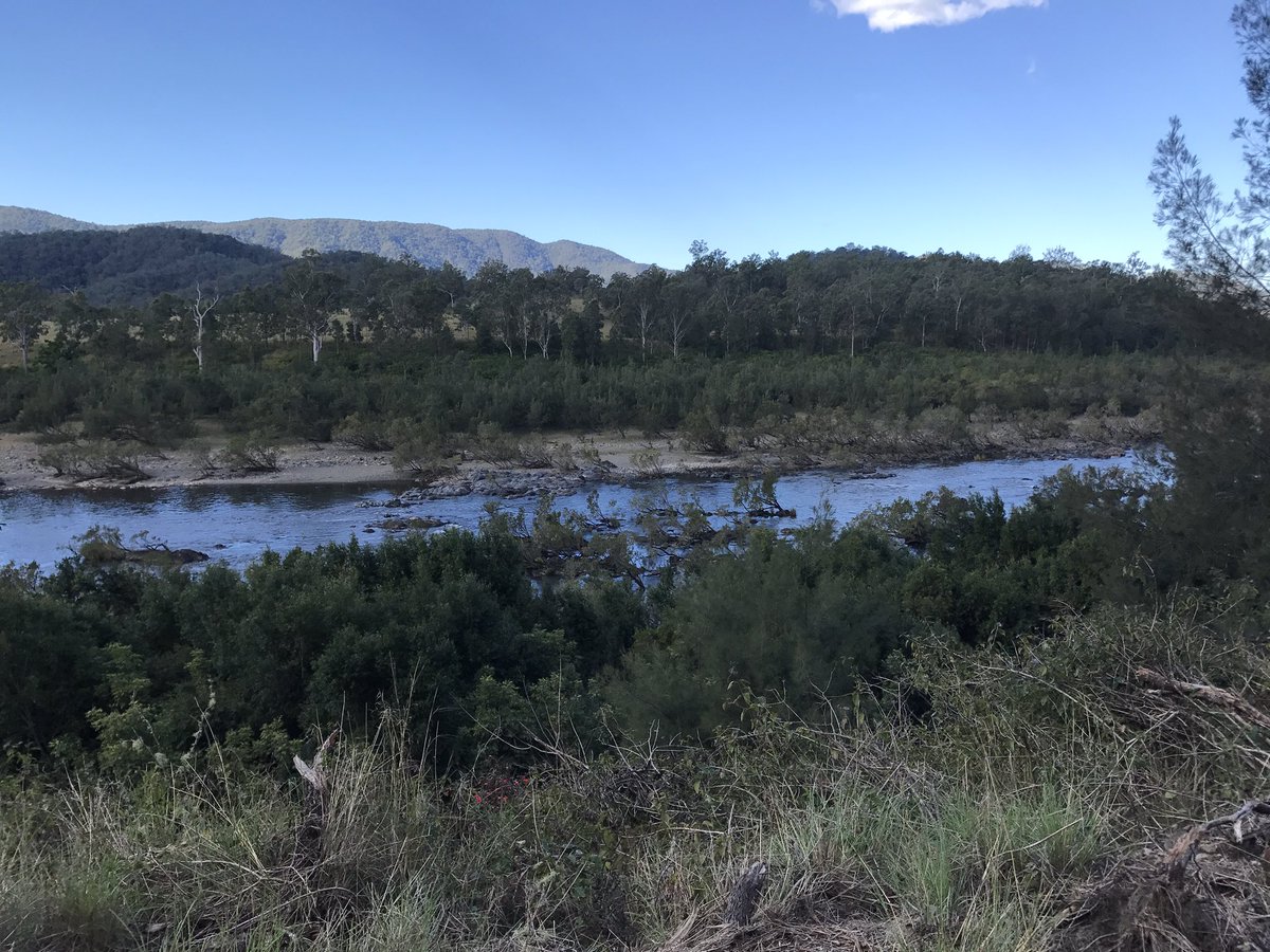 CTS_Andy's tweet photo. Got around a bit this week #campbellstransportservices #mannriver #hexham #blackmountainnsw https://t.co/MsxKrZufiG