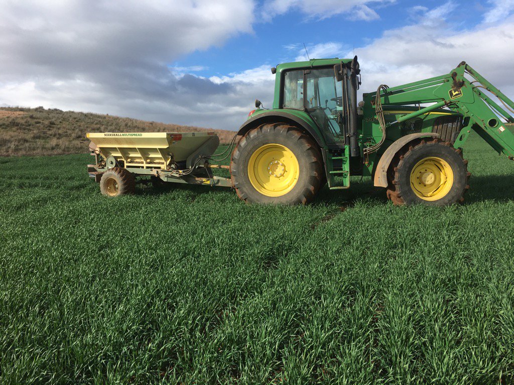 Barley getting a bit on N on the hobby farm