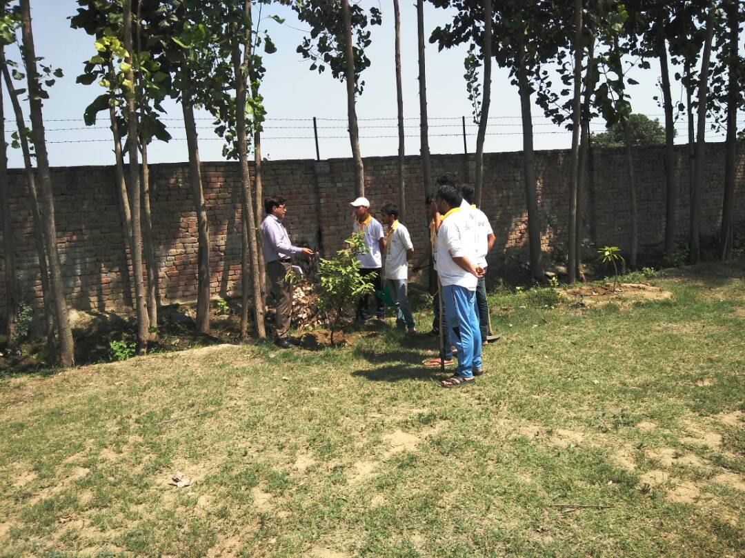 PublicSaint's tweet photo. Practical Assessment of Gardener @PMKVY2 @PMKVY_ @MSDESkillIndia @NSDCINDIA @PMOIndia @rajivprataprudey https://t.co/0UGuPpJbKY