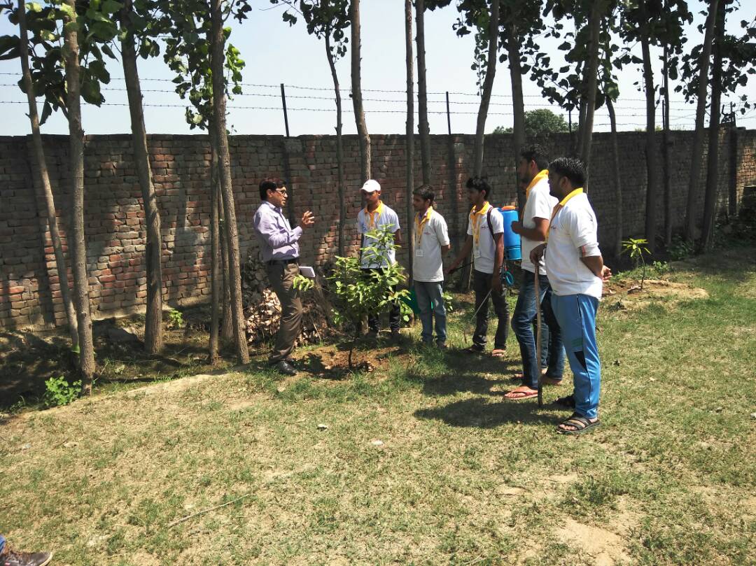 PublicSaint's tweet photo. Practical Assessment of Gardener @PMKVY2 @PMKVY_ @MSDESkillIndia @NSDCINDIA @PMOIndia @rajivprataprudey https://t.co/0UGuPpJbKY