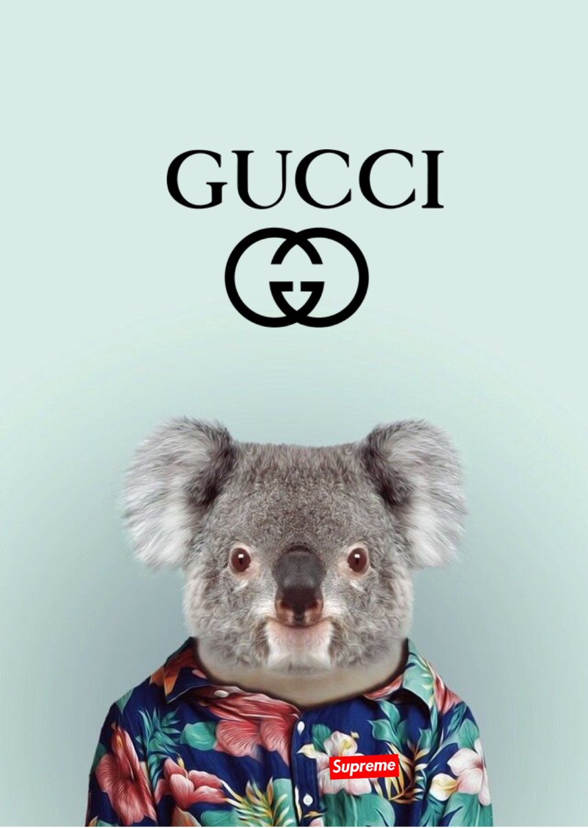 iphone wallpaper on X: Gucci x supreme wallpaper #gucci #supreme #wallpaper  #iPhoneWallpaper  / X