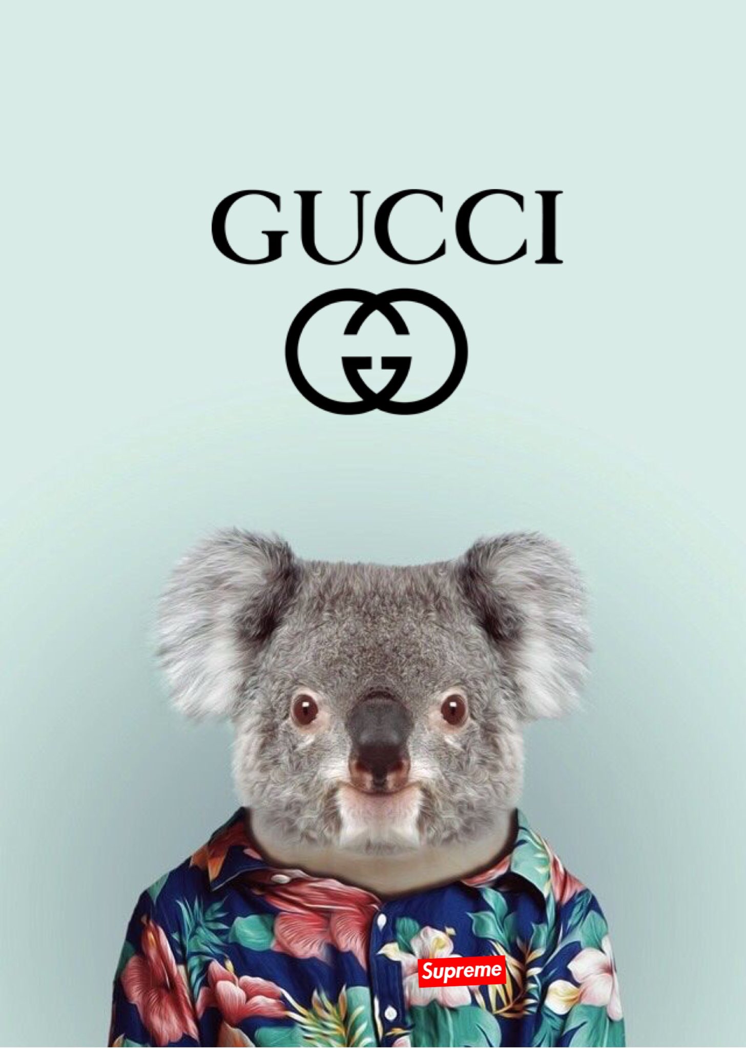 iphone wallpaper on Twitter: "Gucci x supreme wallpaper #gucci #supreme