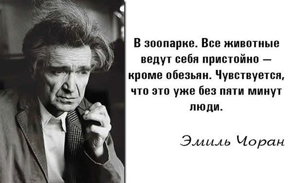 Кива заявил, что возглавил СПУ - Цензор.НЕТ 7519