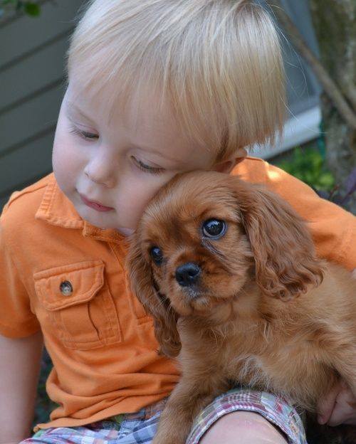 stevekrohn's tweet photo. Boy with dog https://t.co/H2VLpyAqPy