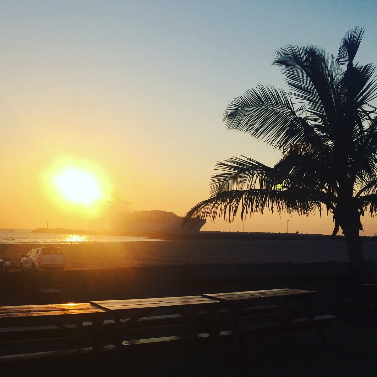 What a beaut of a day! #sunrise #durban #palmtrees #ship #beach #umhlangaoceancharters