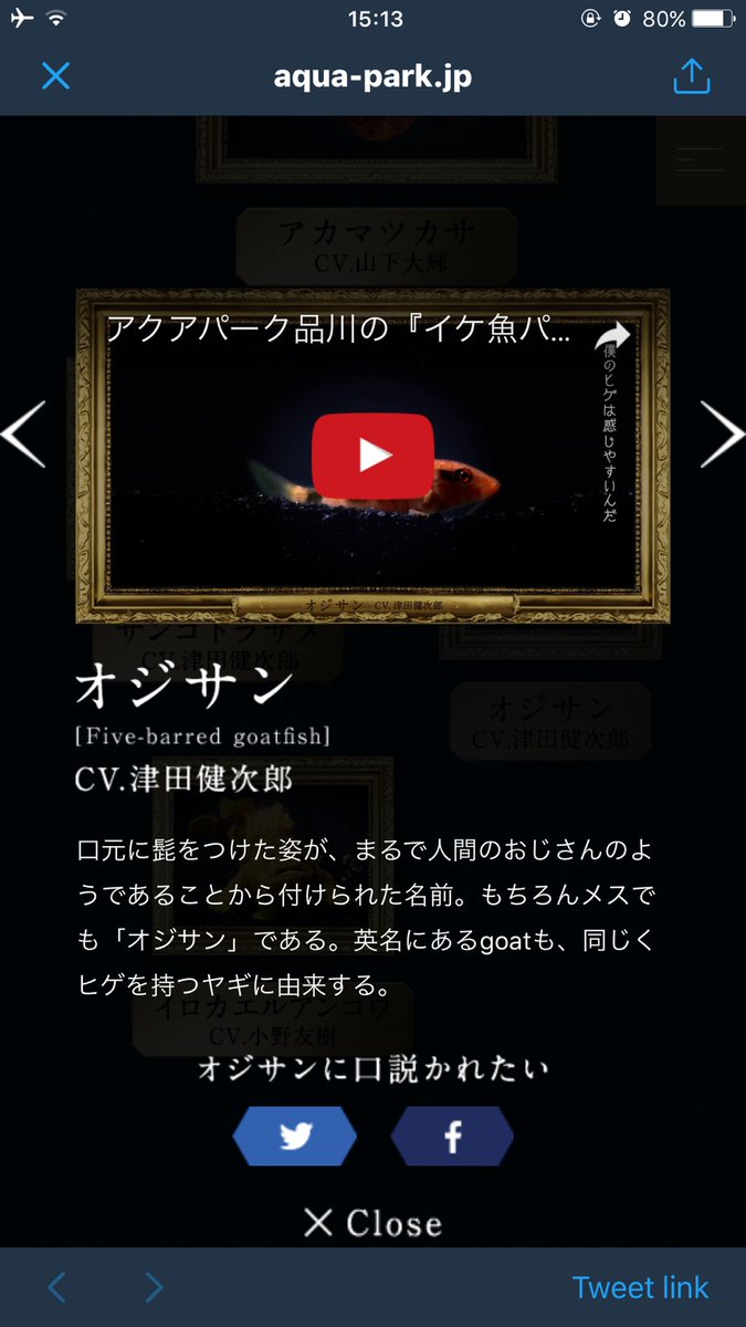 アクアパーク品川がイケ魚パラダイスという謎企画を開催 チンアナゴ Cv 櫻井孝宏 の破壊力 ツダケンの喘ぎ声 Togetter