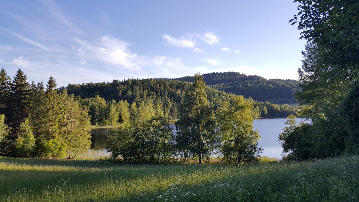 GerryCinco's tweet photo. Out camping with the family #camping https://t.co/YmWTcqJhGT