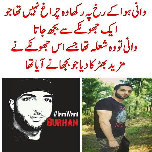 FarhanKVirk's tweet image. #BurhanWani Wani did not live for long but he gave his whole life for the cause of Kashmir freedom.
