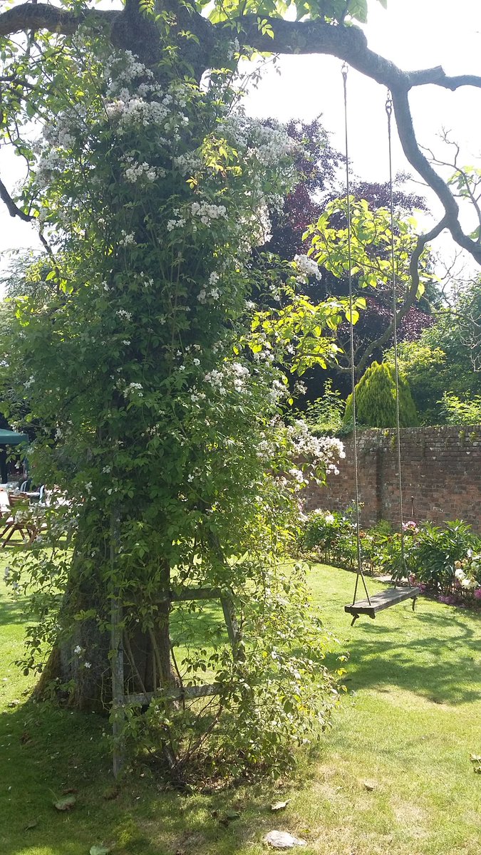 boyes_marion's tweet photo. Alresford Broad Street Gardens https://t.co/og7ifEEdvc