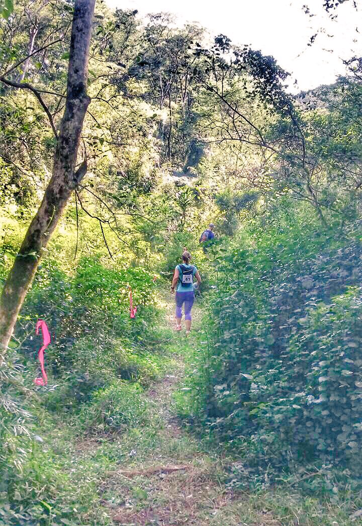 The beautiful forests of Maphelane! #iSimangalisoTRAIL #isimangaliso