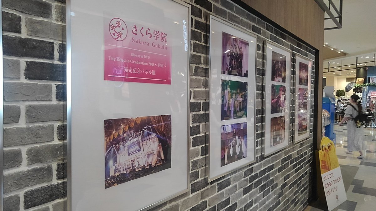hamashin_mtlfki's tweet photo. 柏のタワレコ
#さくら学院 #RTG2016 パネル展 https://t.co/rnmjAO7GfT