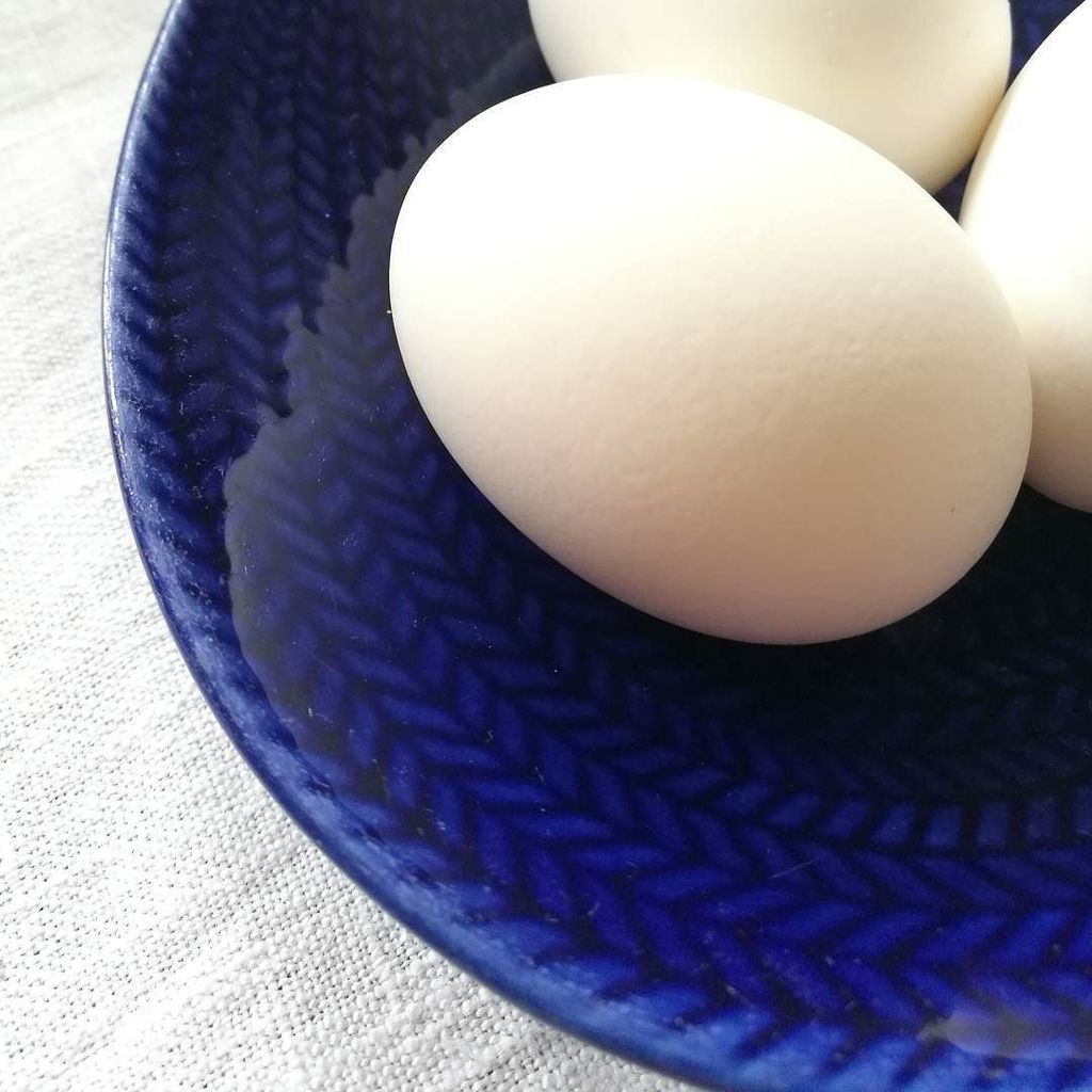 magdalenanderas's tweet photo. Go morgon! 
#regnigdag #kalasdag #frukost #ljuvligating https://t.co/mnbal4R20K