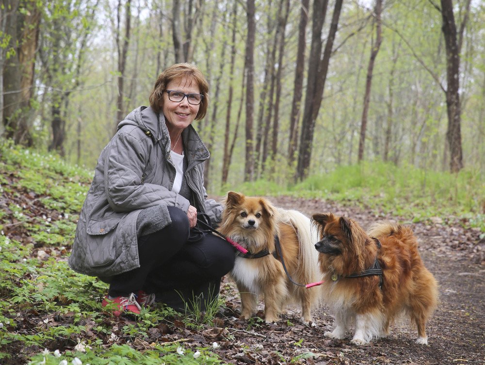 När livet visar nya vägar… mynewsdesk.com/se/anhorigasri…