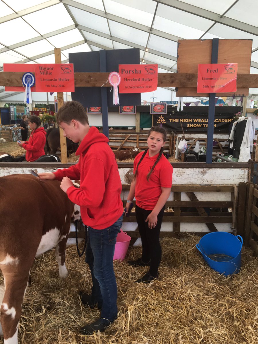 sussexpaul1's tweet photo. #kentcountyshow #kentshow17 #kentyfc we are here and found kiki https://t.co/Xn8EidT6in