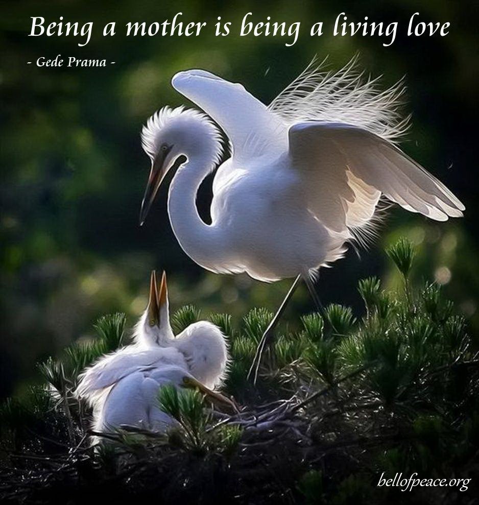 gede_prama's tweet photo. Being a mother is... https://t.co/HBpUrp6cZS
