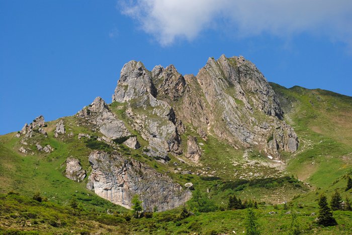 Wellnesswandern's tweet photo. Gerne kann ich Euch zu wunderschönen, märchenhaften Bergblumenwiesen führen. Auf 1.500 hm im Salzburger Großarltal
https://t.co/Z9Rt5im9qV https://t.co/OvyDWb5DEX