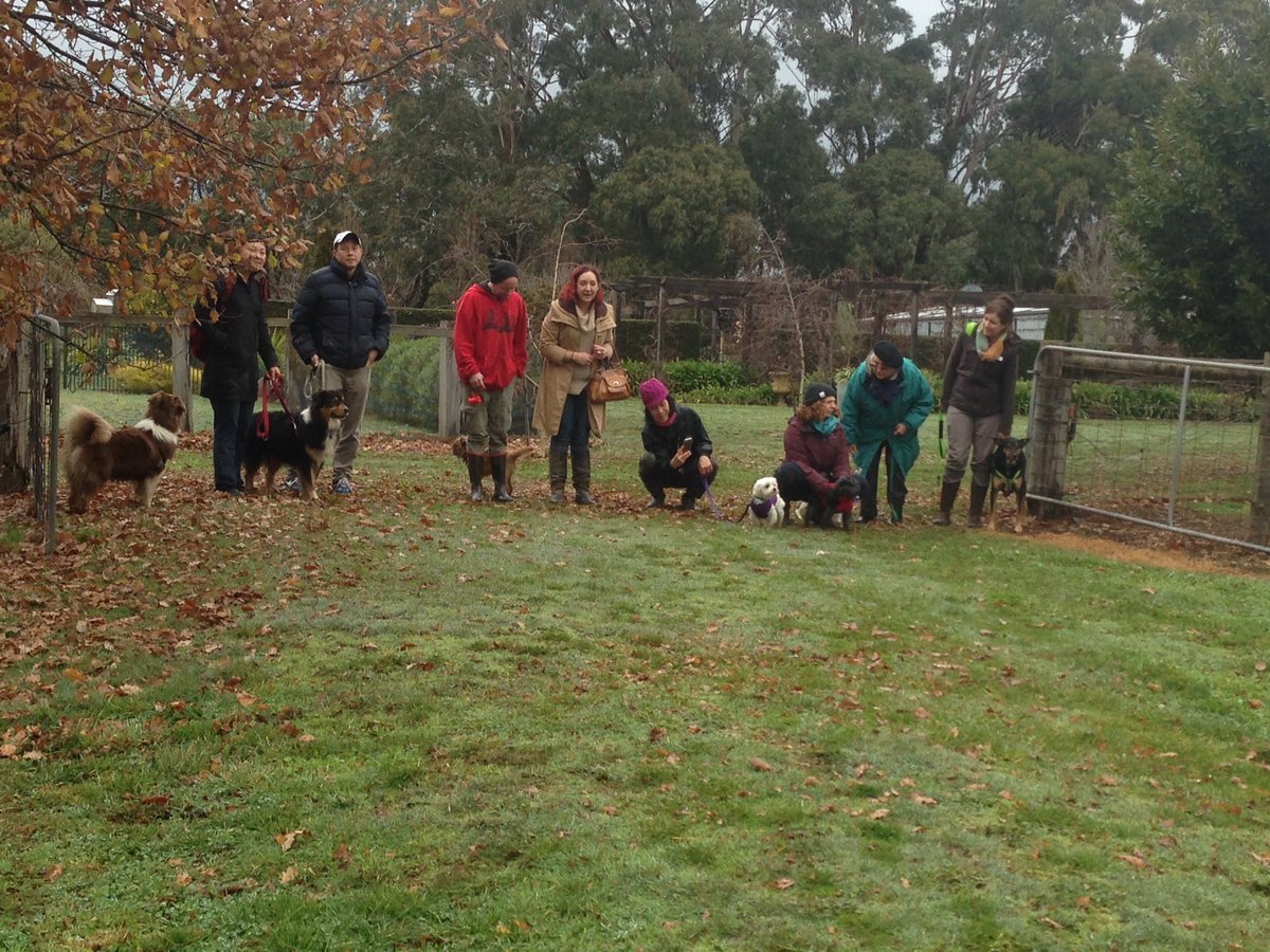 GPawprints's tweet photo. Bring your dog on a truffle hunt https://t.co/jZwV4eFyiY #pawfect #truffles #dogs #wine #visitvictoria https://t.co/X1KEoBfyzj