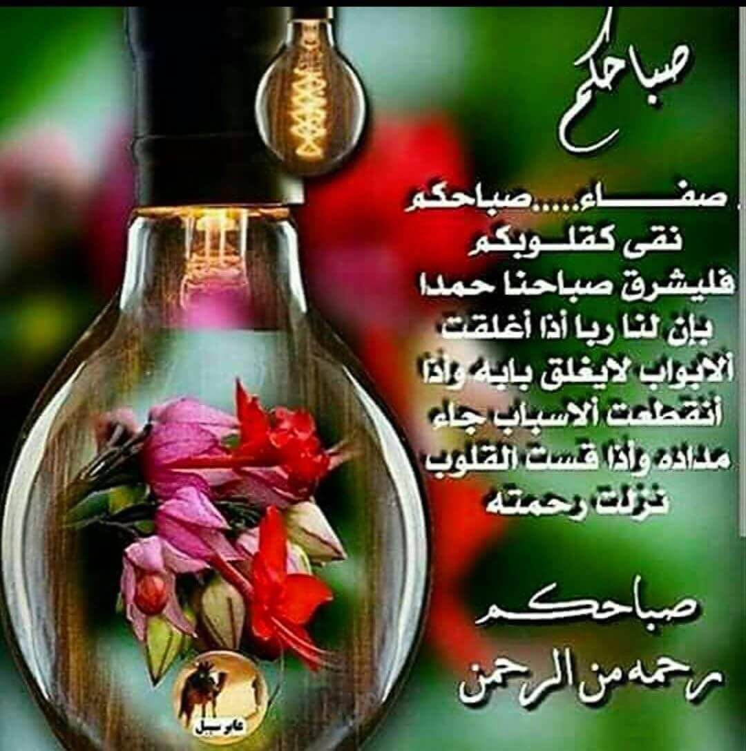 صباحكم رحمه من الرحمن