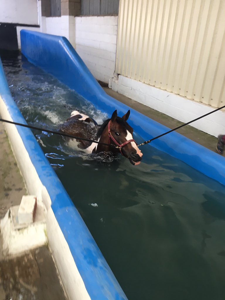 Claire Deuten tweet media