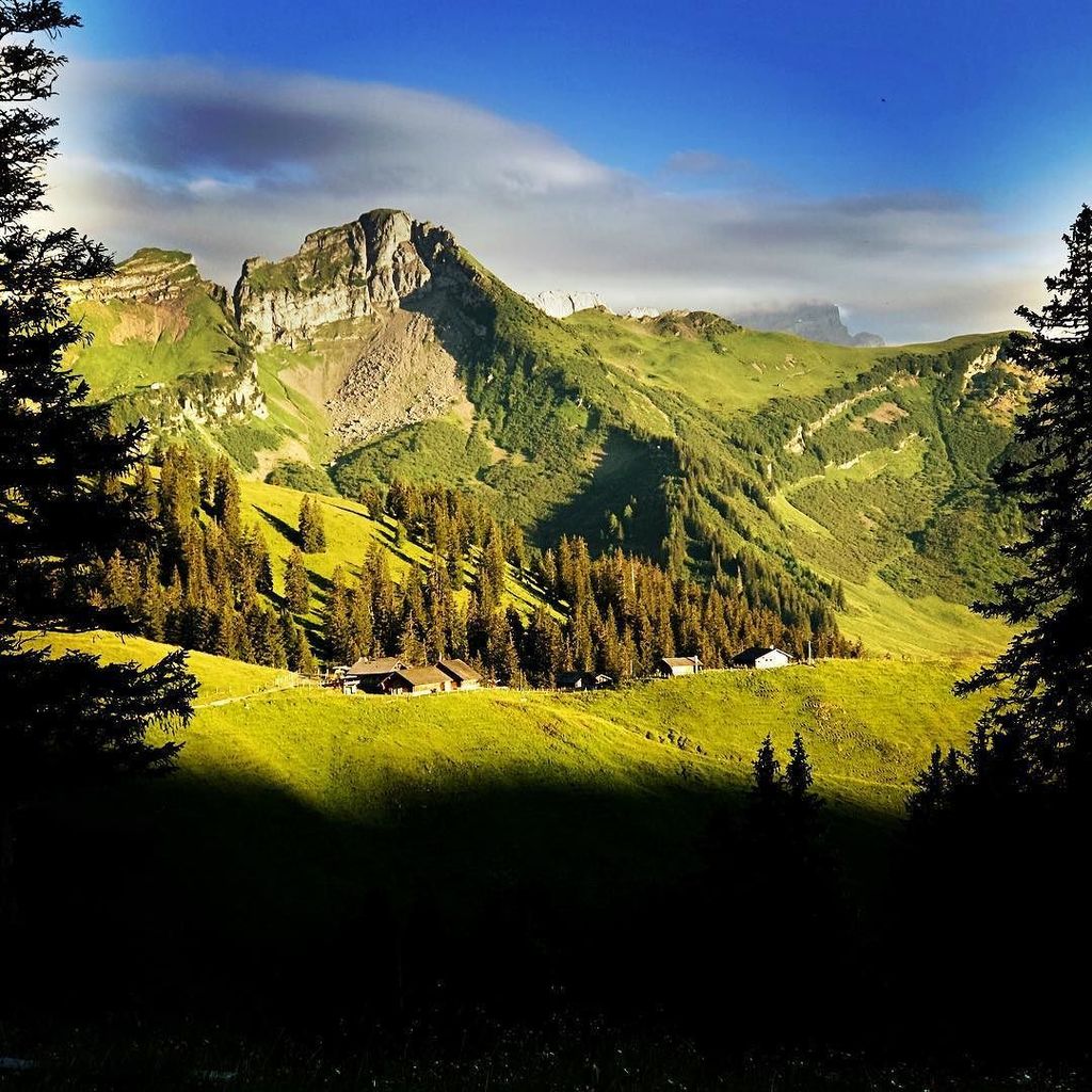 sylko's tweet photo. Chalets de La Croix #iphoneonly #summer #nature #bestoftheday #instadaily #igers #picoftheday #chablais #myswitze… https://t.co/VtgGOsBQOz https://t.co/g9iKPb9F2A
