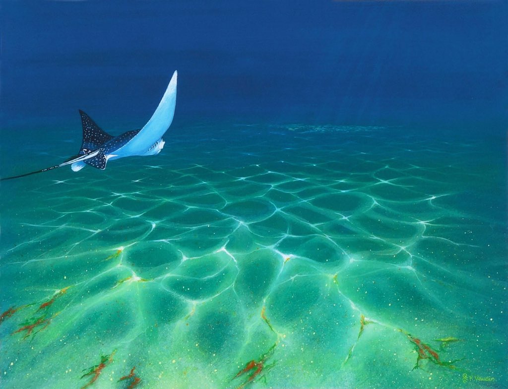 NVmosaics's tweet photo. 🌞 Anyone need to cool down? Dive into this website with #underwater #fineart #ray #diving 
https://t.co/Cftmxj4yv7… https://t.co/C2S08WfsZk