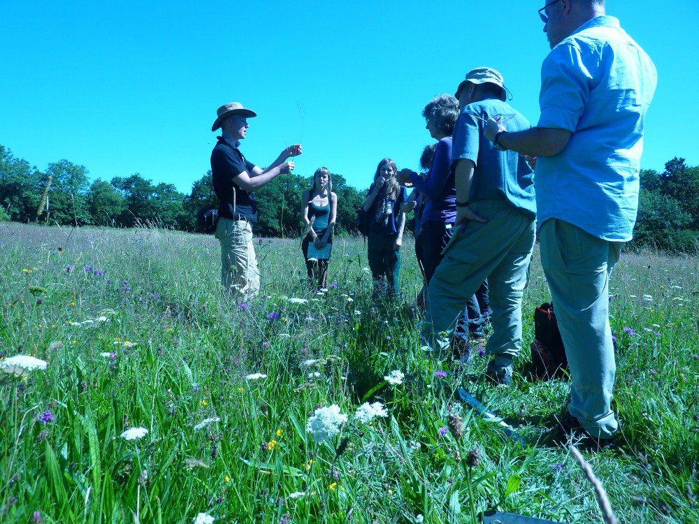 SomersetWT's tweet photo. Thanks to everyone who joined us for a walk at #Edford #Meadows this week - & to Lee Robson for the pics. https://t.co/c2nUPrfLNk https://t.co/KBK9GIuBUc