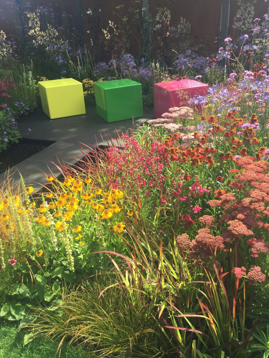 anidas1's tweet photo. #HamptonCourtFlowerShow https://t.co/Ts74Zhgxld