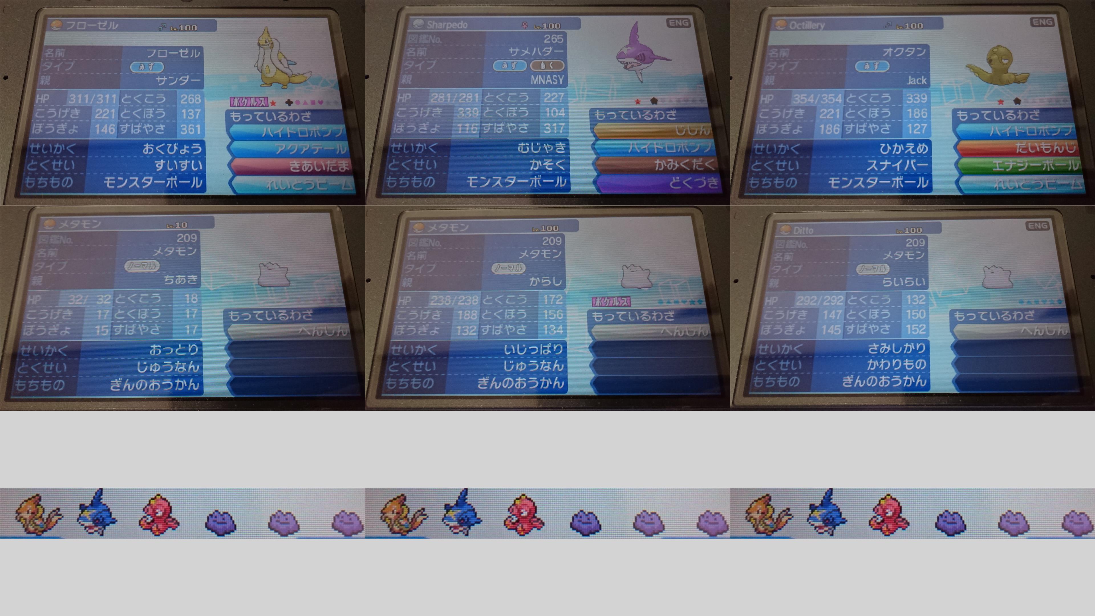 わちゃ ポケモン垢色めざ炎アシレ 厳選中 Wacyapokemon Twitter