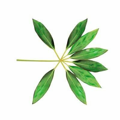 Loved_KPop's tweet photo. #EXO#EXOLOGO#THEWAREXO#KOKOBOP https://t.co/VsgAEfHErc