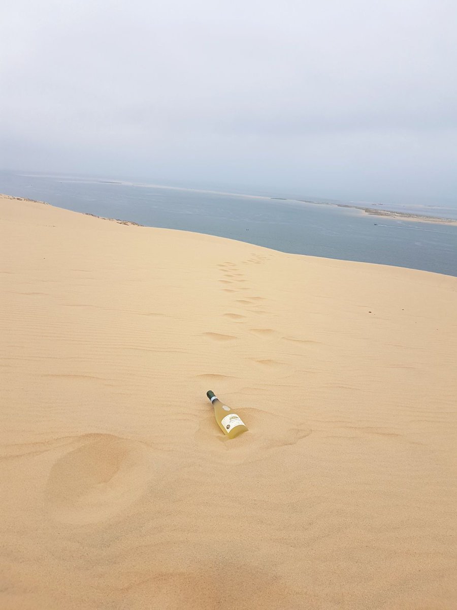 cantinesanmarco's tweet photo. @cantinesanmarco in @Vinexpo . Sand Sea oyster and #wine. https://t.co/lhFfx13yFH