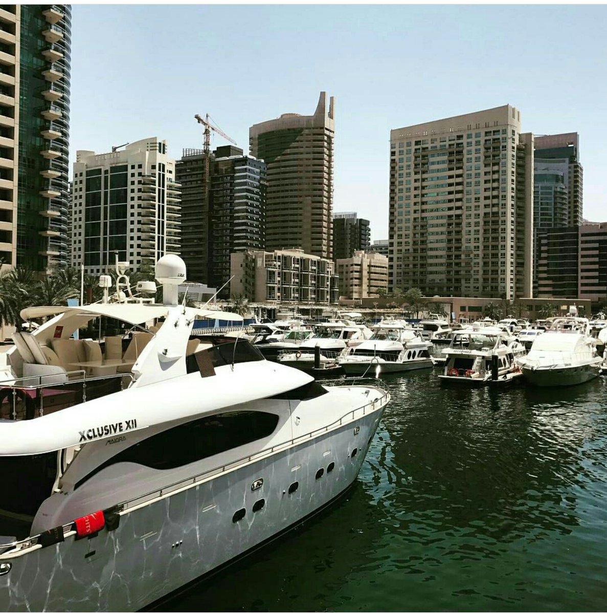 Yacht event! ♡ #events #Dubai #dubailife #manpower #followus #help #followforfollow