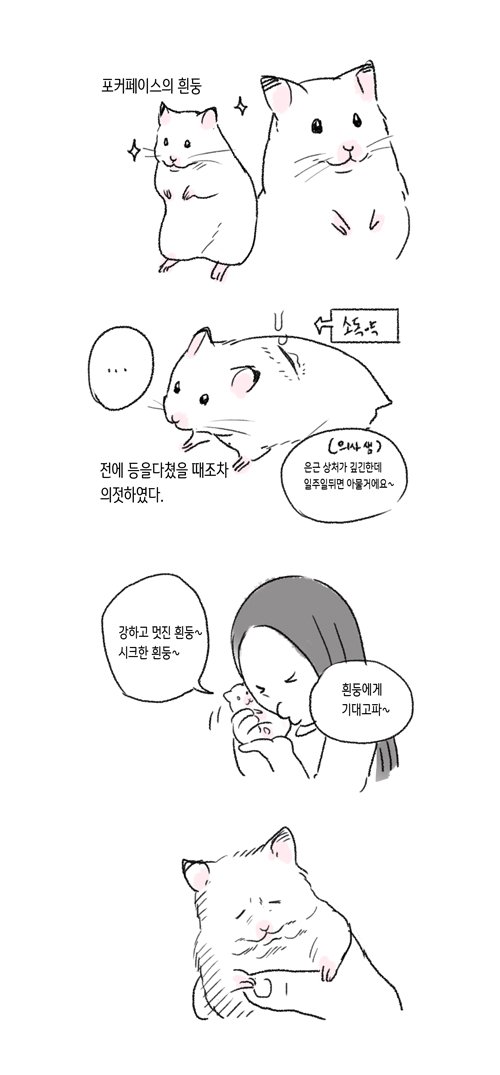 햄스타만화~ 