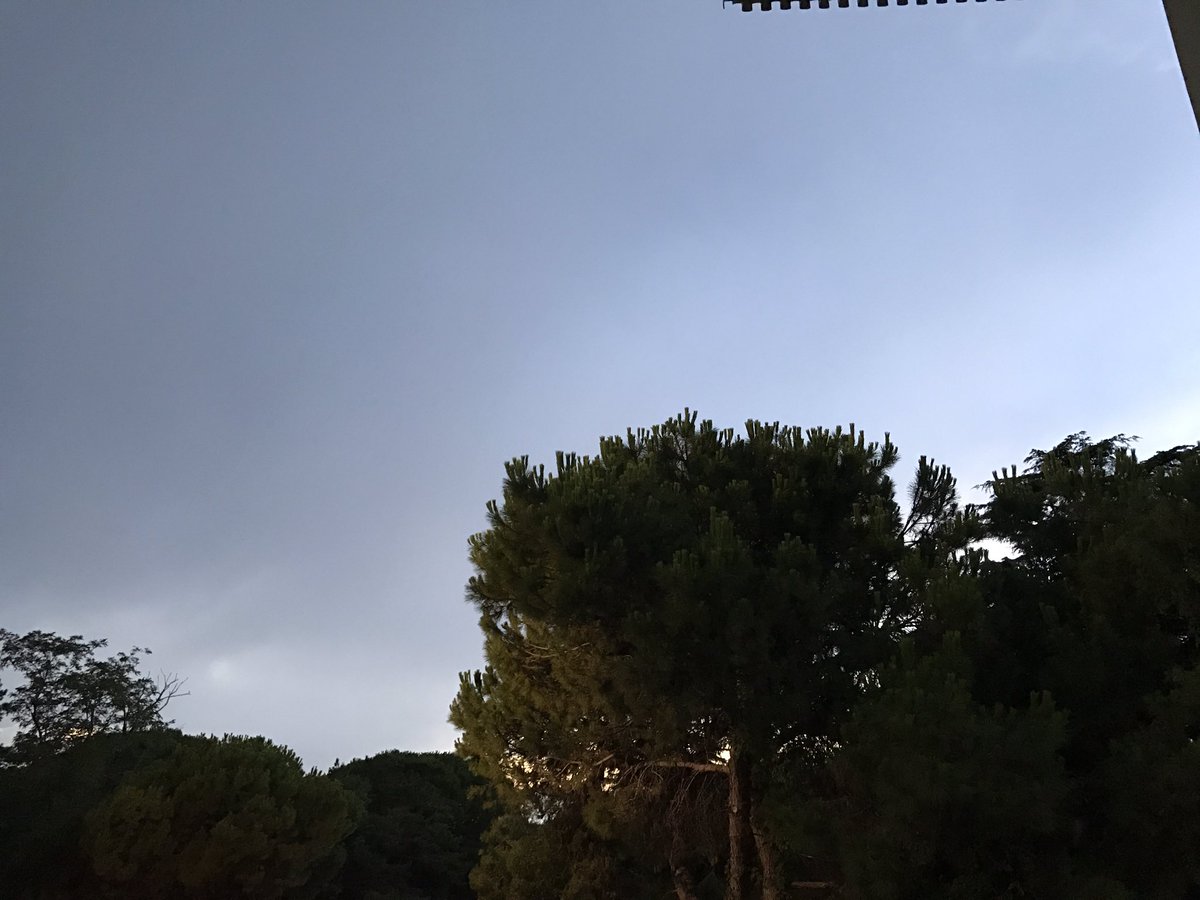 chiaradiquarto's tweet photo. #campmare @team_world 🌲💫💙 https://t.co/8s6diyxDT6