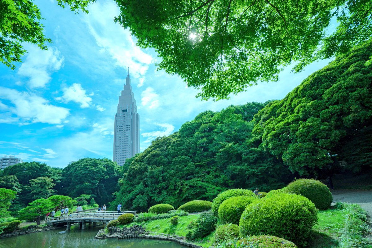 Akira Sasaki 7 Na Twitteru 地上波で言の葉の庭が観られるそうです テンション上がる 新宿御苑での写真を少し 言の葉の庭 新宿御苑 新海誠 東京カメラ部 Tokyocameraclub ファインダー越しの私の世界