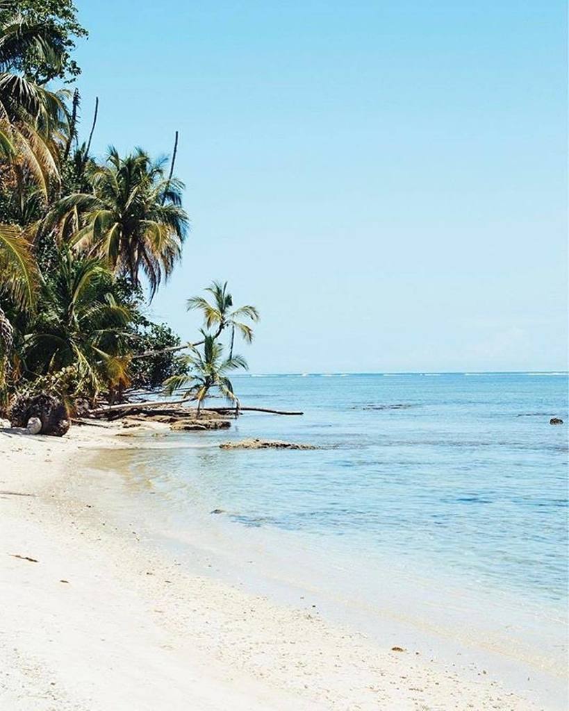 lucysinspired's tweet photo. It's finally the weekend and we're always in the mood for some sand, sun, and palm trees ✌🏻☀️🌴⠀
⠀
📷 rachelweider ⠀
⠀
#lucysinspired #shoplu… https://t.co/vF4ovs2F2j
