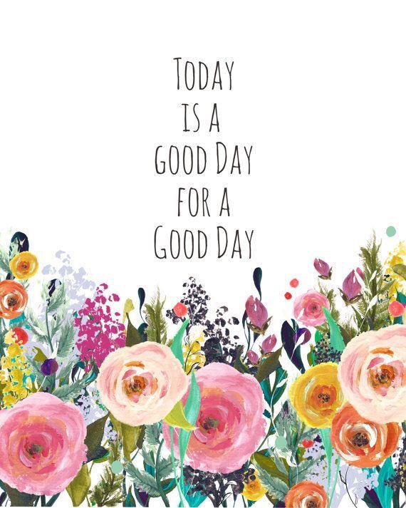 TiSentoPlants's tweet photo. Have a nice weekend! https://t.co/z4s58xyHvW
