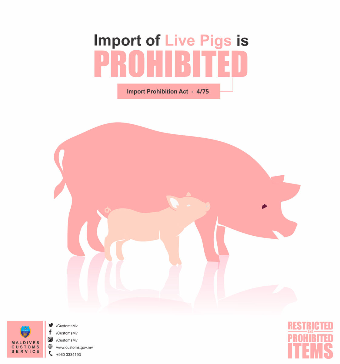 CustomsMv's tweet photo. Import of live pigs is prohibited

https://t.co/UNQ8CbCMOX https://t.co/2vpbIXsJFg