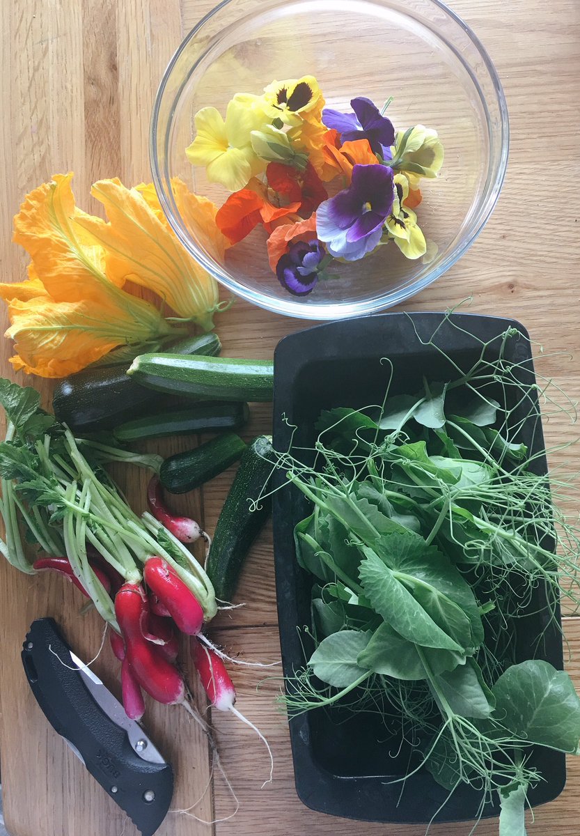 ChefPaulHynes's tweet photo. Tonight's #Vegetarian Sorted @LaCoteWexford @Hollymurphy95 @Chef_AndyDoran #organicgardening #wexford https://t.co/JwnxhYGwvP