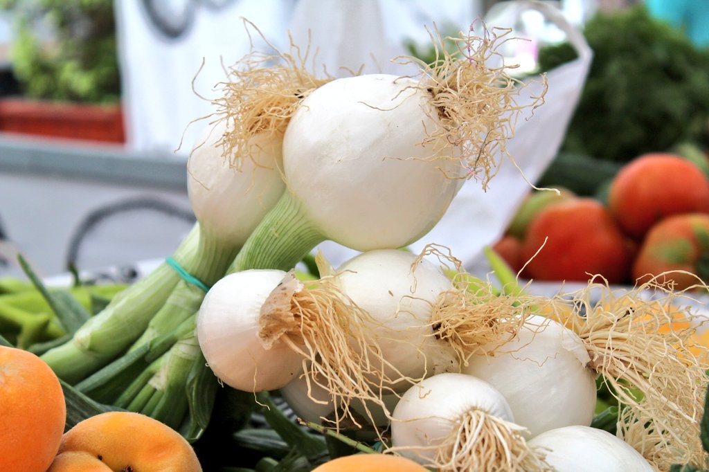 MadridCalidad's tweet photo. Productos de la huerta, dulces artesanos, quesos elaborados con leche de #Madrid... ¡Tenemos de todo.  #LaDespensaDeMadrid en @Arganda_Ayto https://t.co/7frT4QTMZF