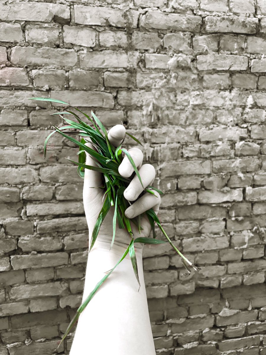 temma9's tweet photo. GG #photos #photographs #photoshoot #traveling #photooftheday #photojournalism #hobby #summer #natureisawesome #city #citylife #grass #green https://t.co/e7ry1qnAdC