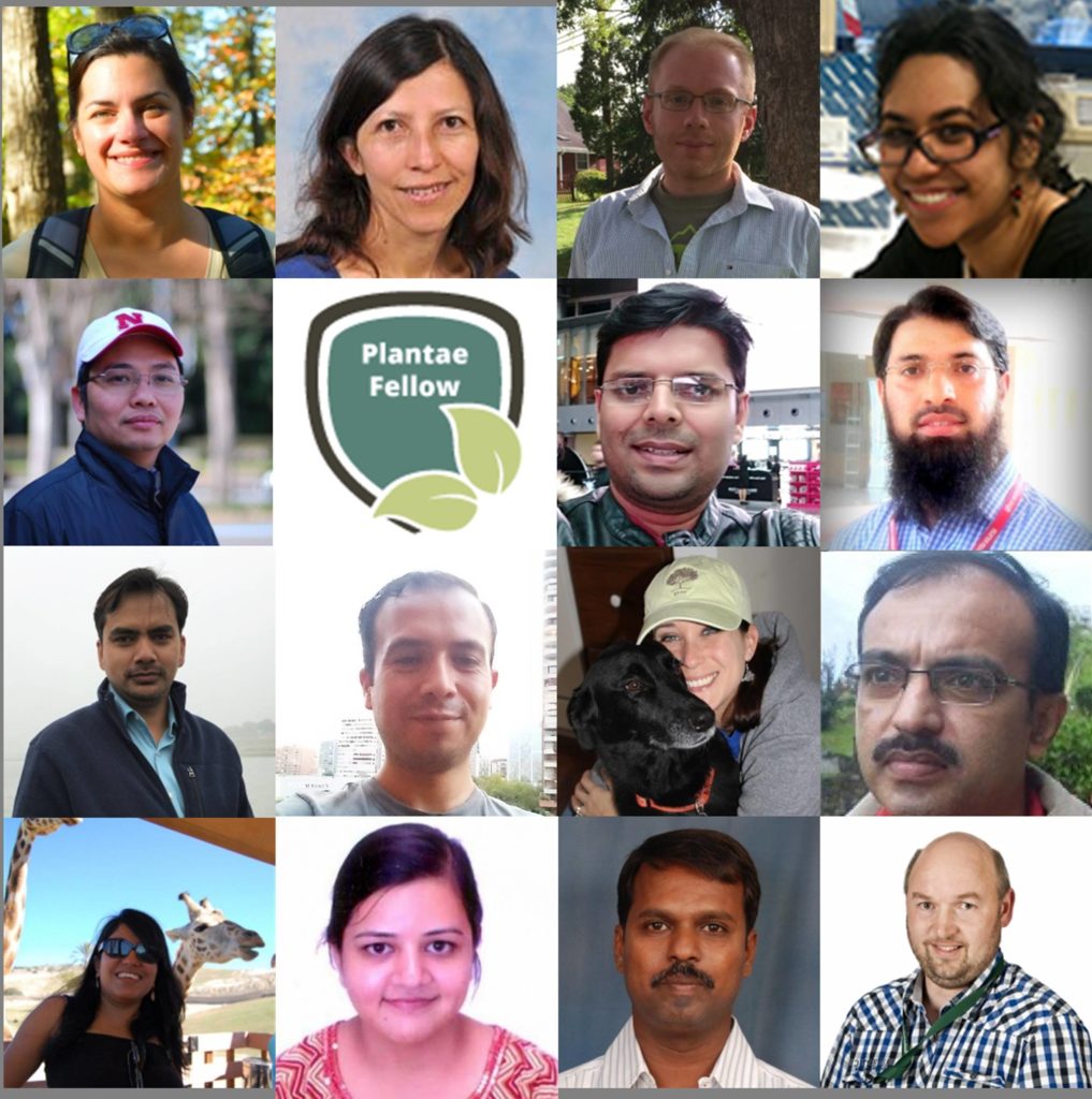 mary williams tweet media